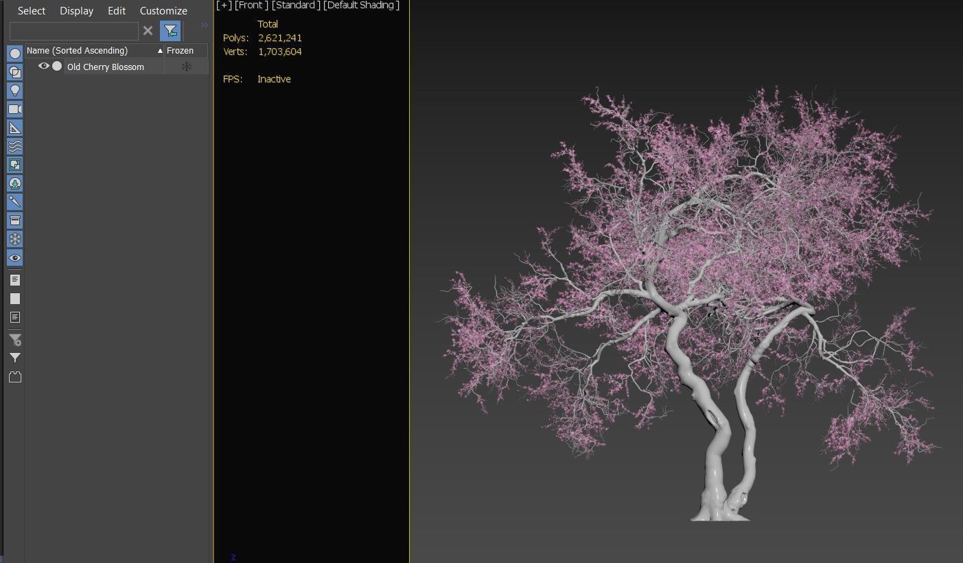 Old cherry blossom 3D model_5