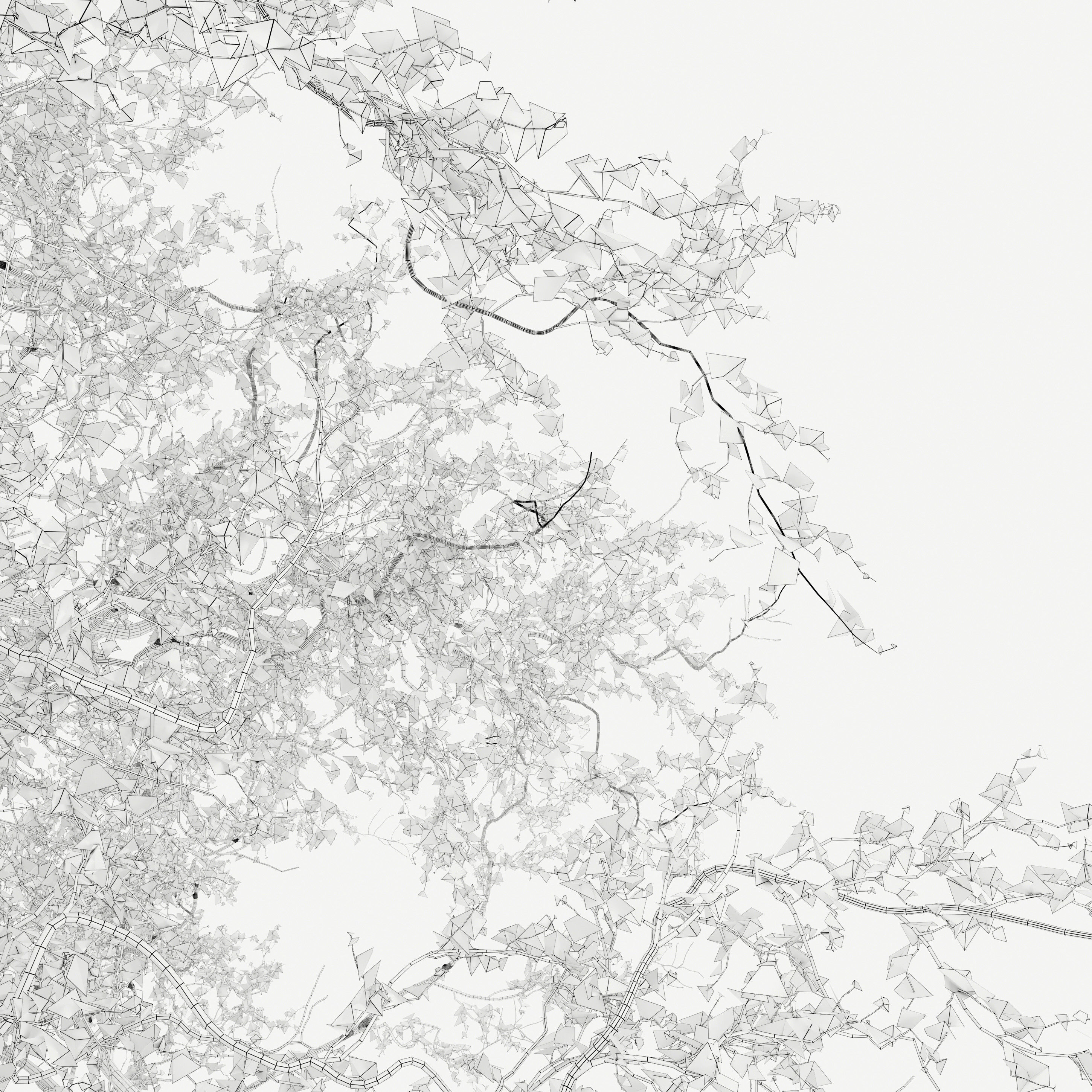 Old cherry blossom 3D model_4