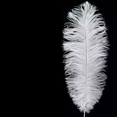 feather 3D model