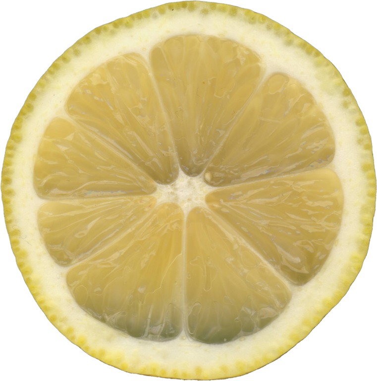 lemon Free 3D model_1