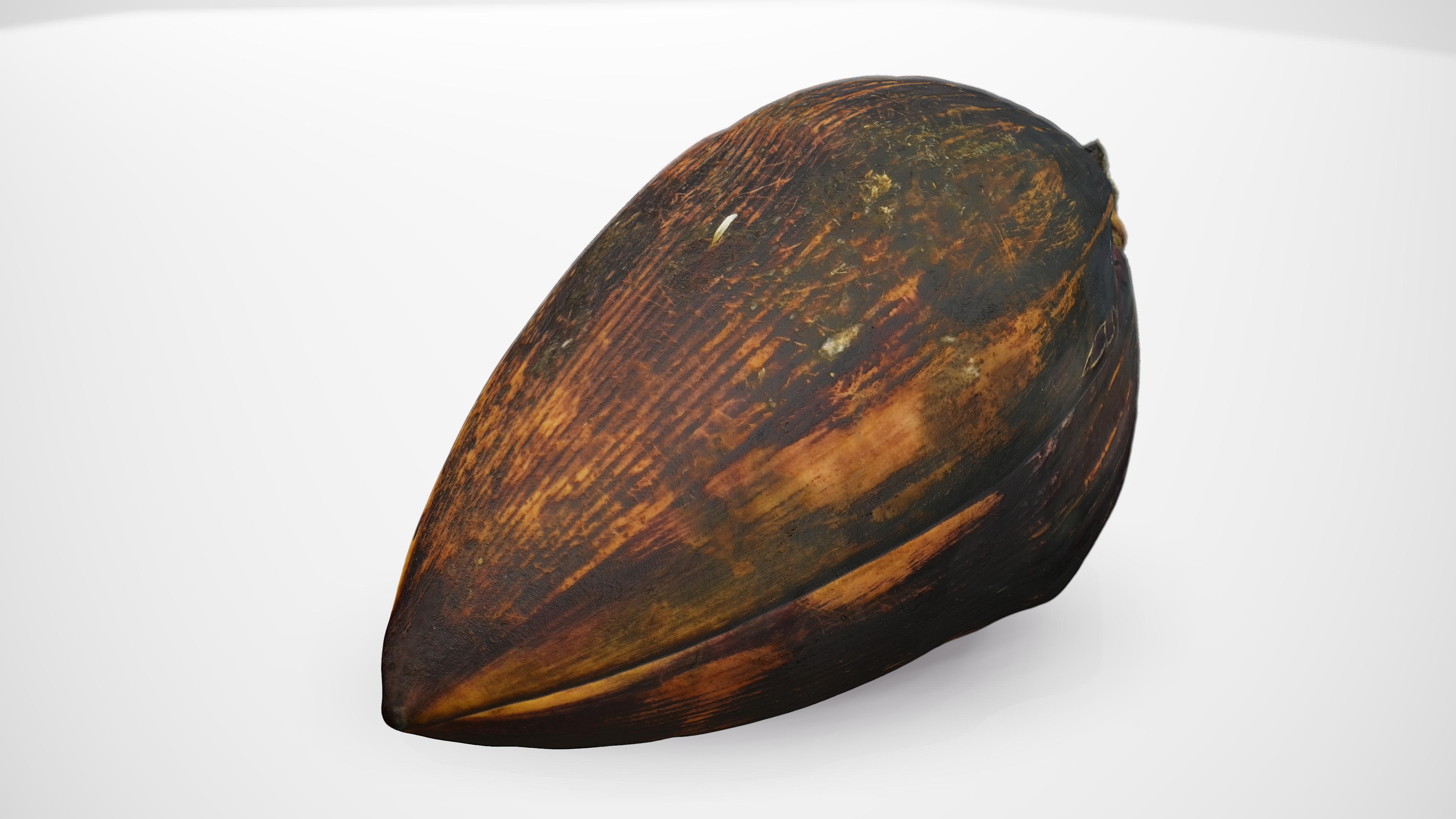 Banana Flower - Photorealistic Scan Low-poly 3D model_8
