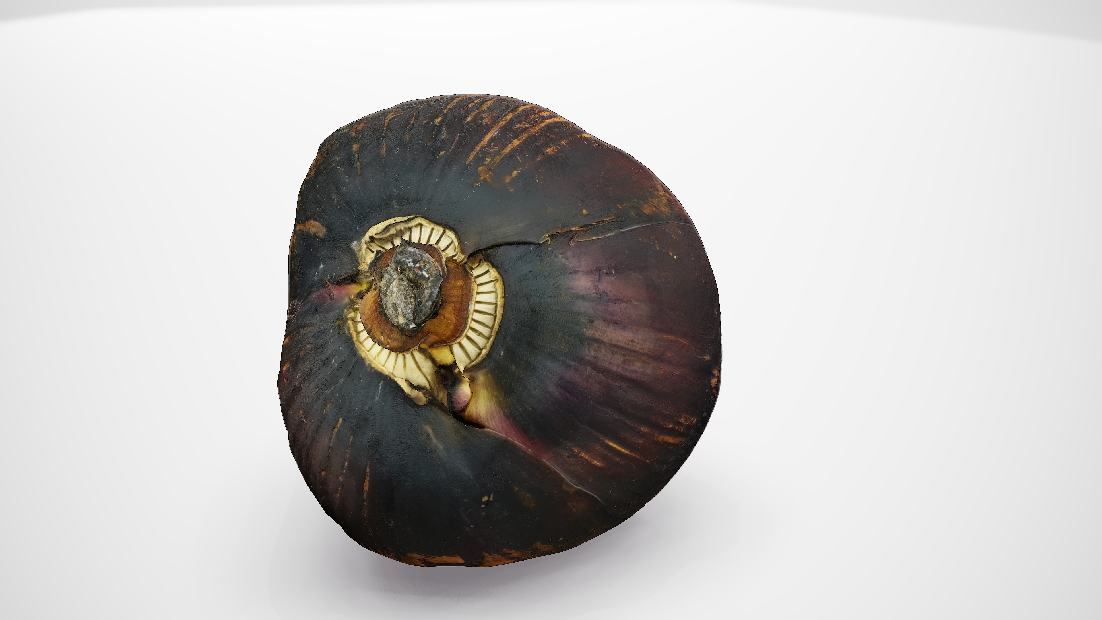 Banana Flower - Photorealistic Scan Low-poly 3D model_4