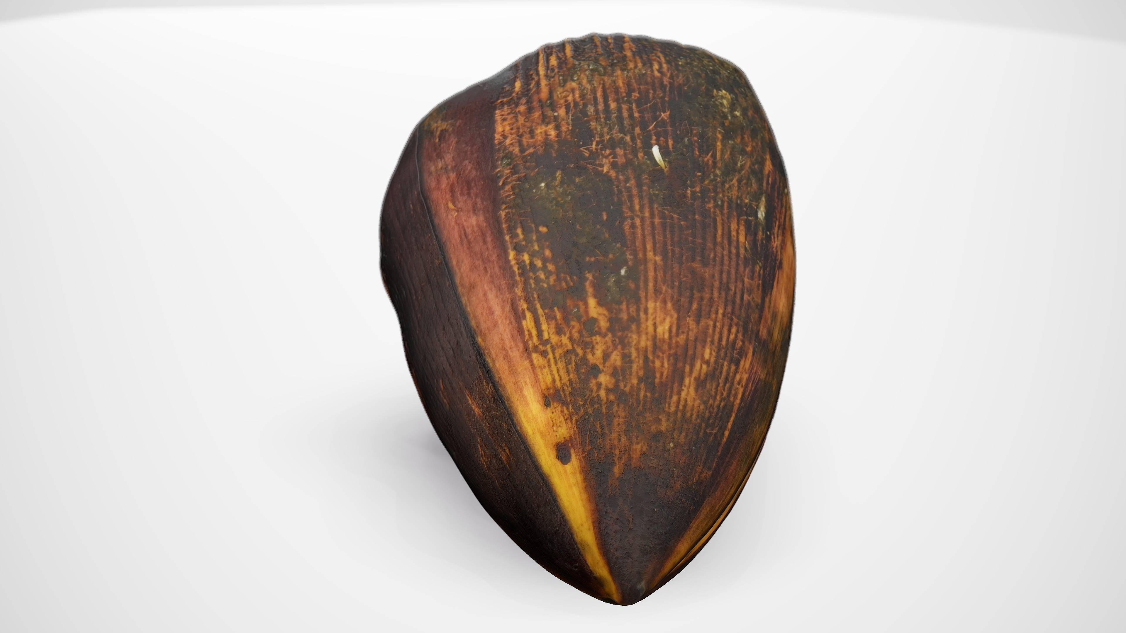 Banana Flower - Photorealistic Scan Low-poly 3D model_10