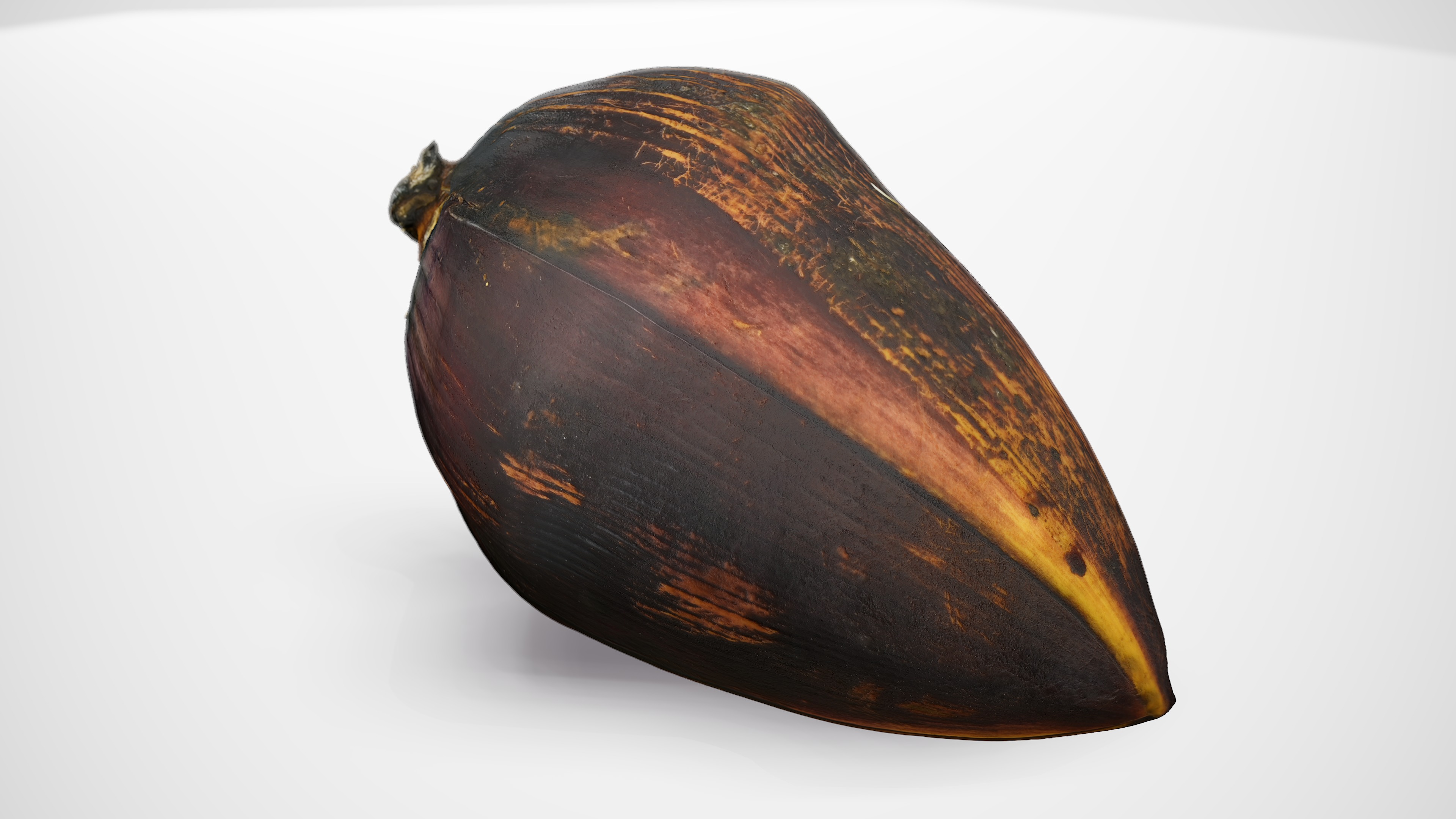 Banana Flower - Photorealistic Scan Low-poly 3D model_1