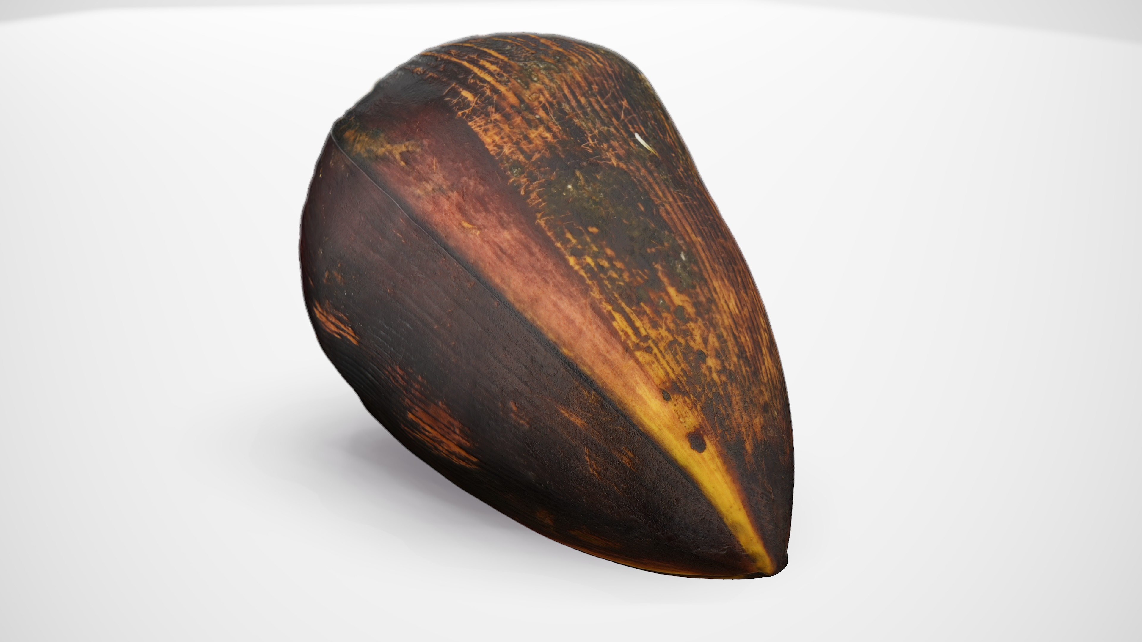 Banana Flower - Photorealistic Scan Low-poly 3D model_11