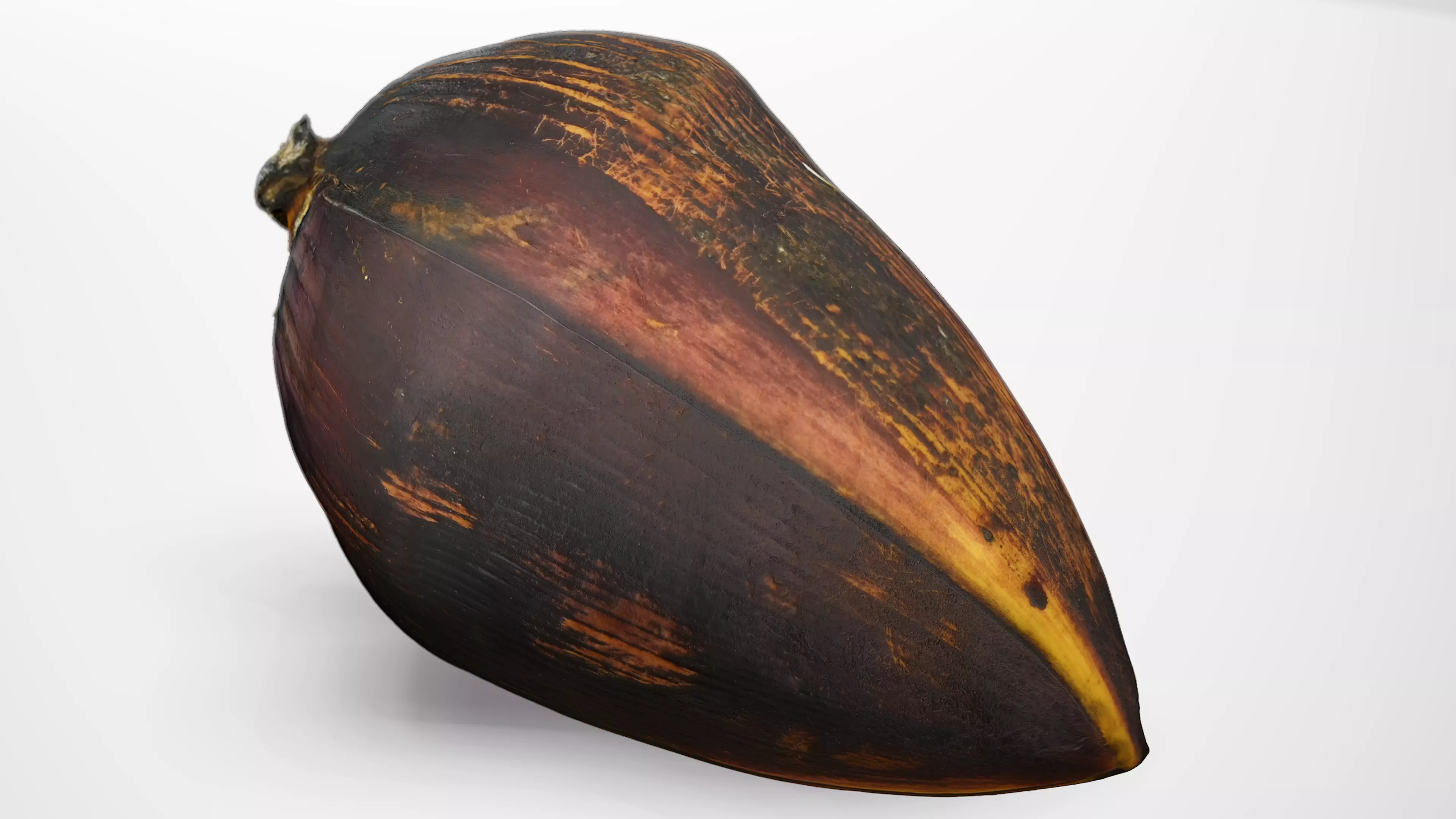 Banana Flower - Photorealistic Scan Low-poly 3D model_0