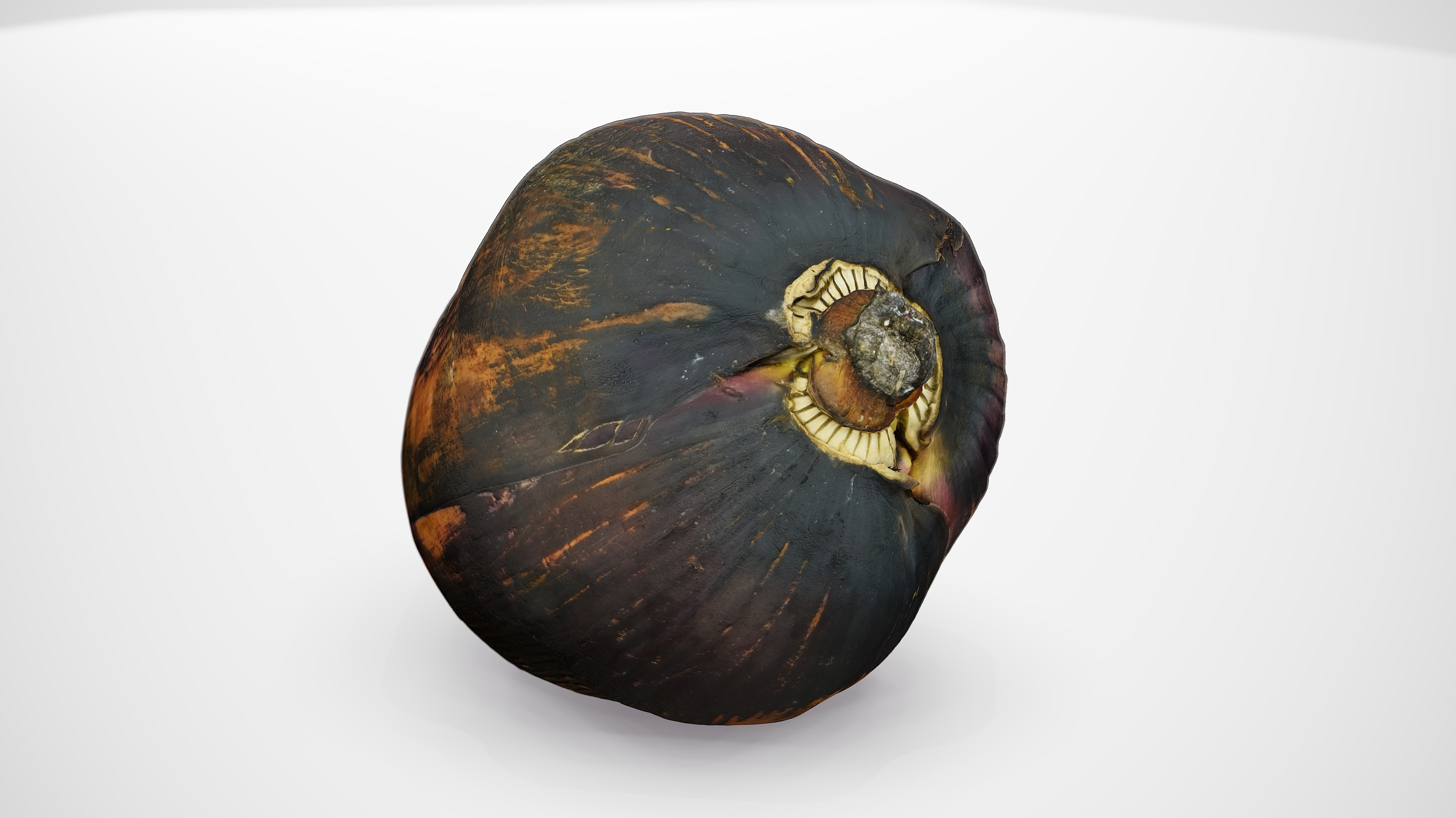 Banana Flower - Photorealistic Scan Low-poly 3D model_5