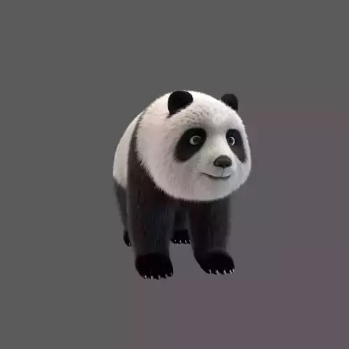 panda  huahua 3D model