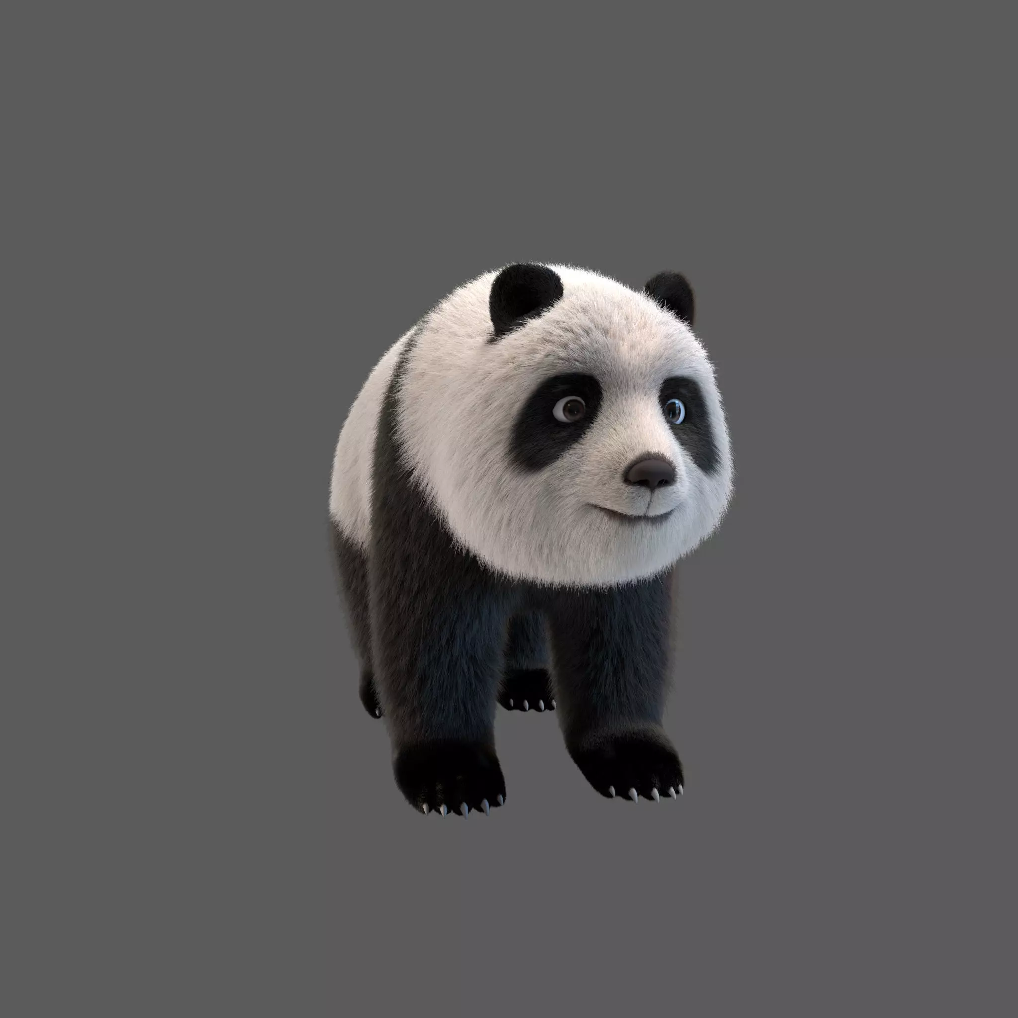 panda  huahua 3D model_0