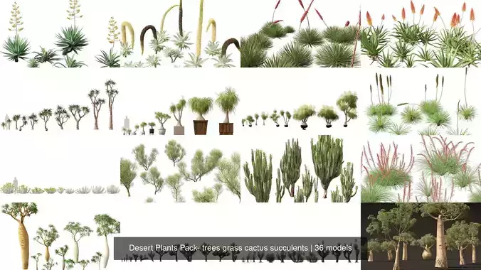 Desert Plants Pack- trees grass cactus succulents 3D Model Collection