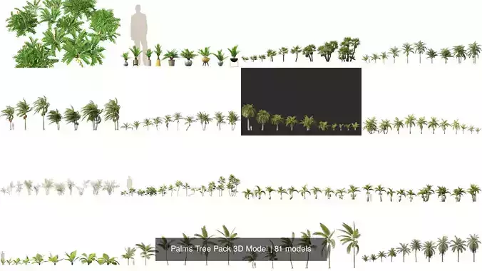 Palms Tree Pack 3D Model 3D Model Collection
