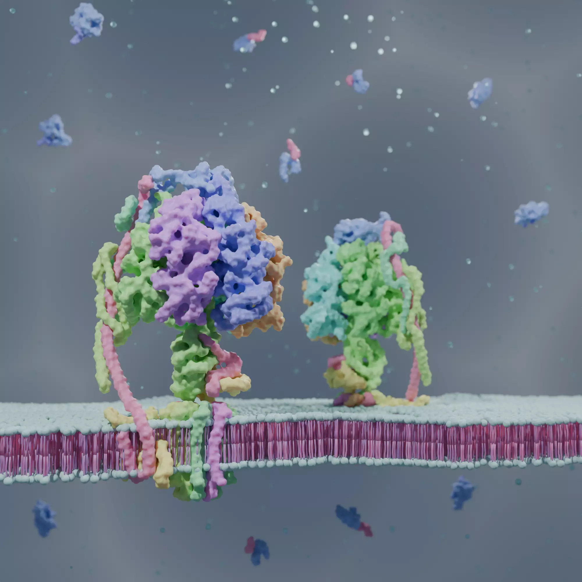 ATP Synthase 3D model_0