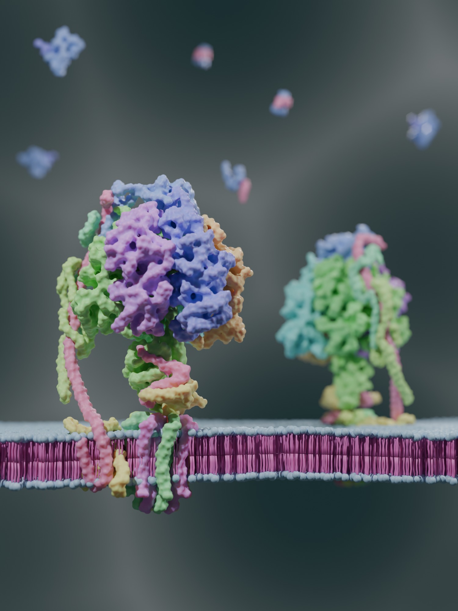 ATP Synthase 3D model_1