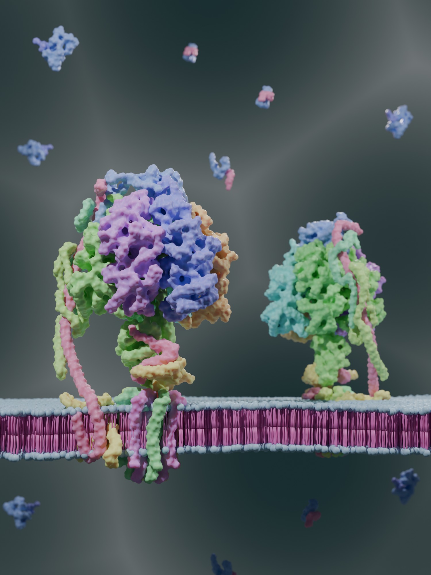 ATP Synthase 3D model_2