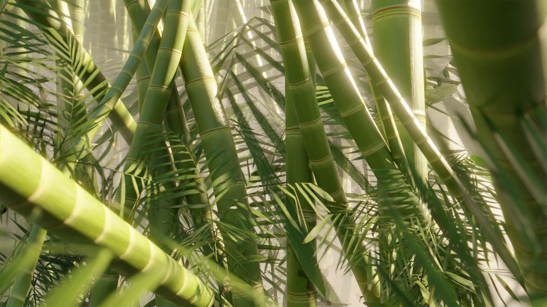 Bamboo Material Pack - PBR Seamless Textures Texture_5