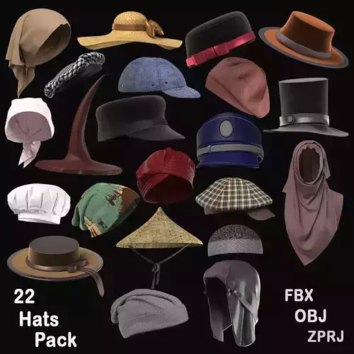 Hat models collection 3D models 3D model