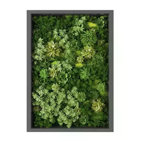 Vertical garden 246