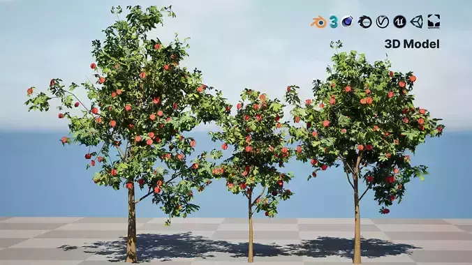 Flowering Gum Tree 3D Model Low-poly 3D model