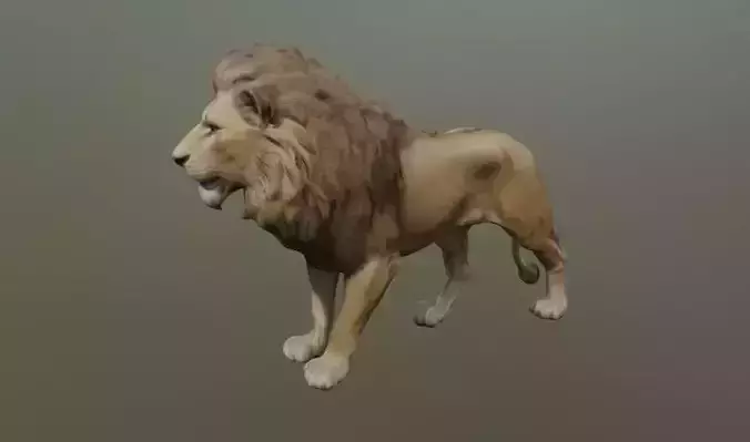 A lion