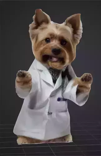 Anthropomorphic Yorkshire Dog