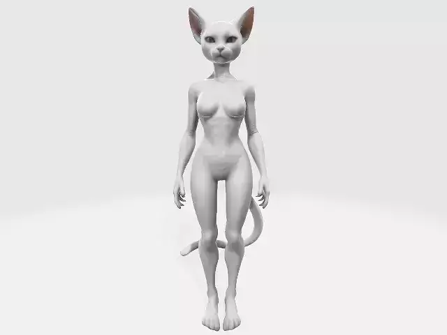 Female white cat wearing in white