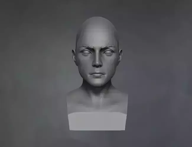 Female 3d head  Free 3D print model