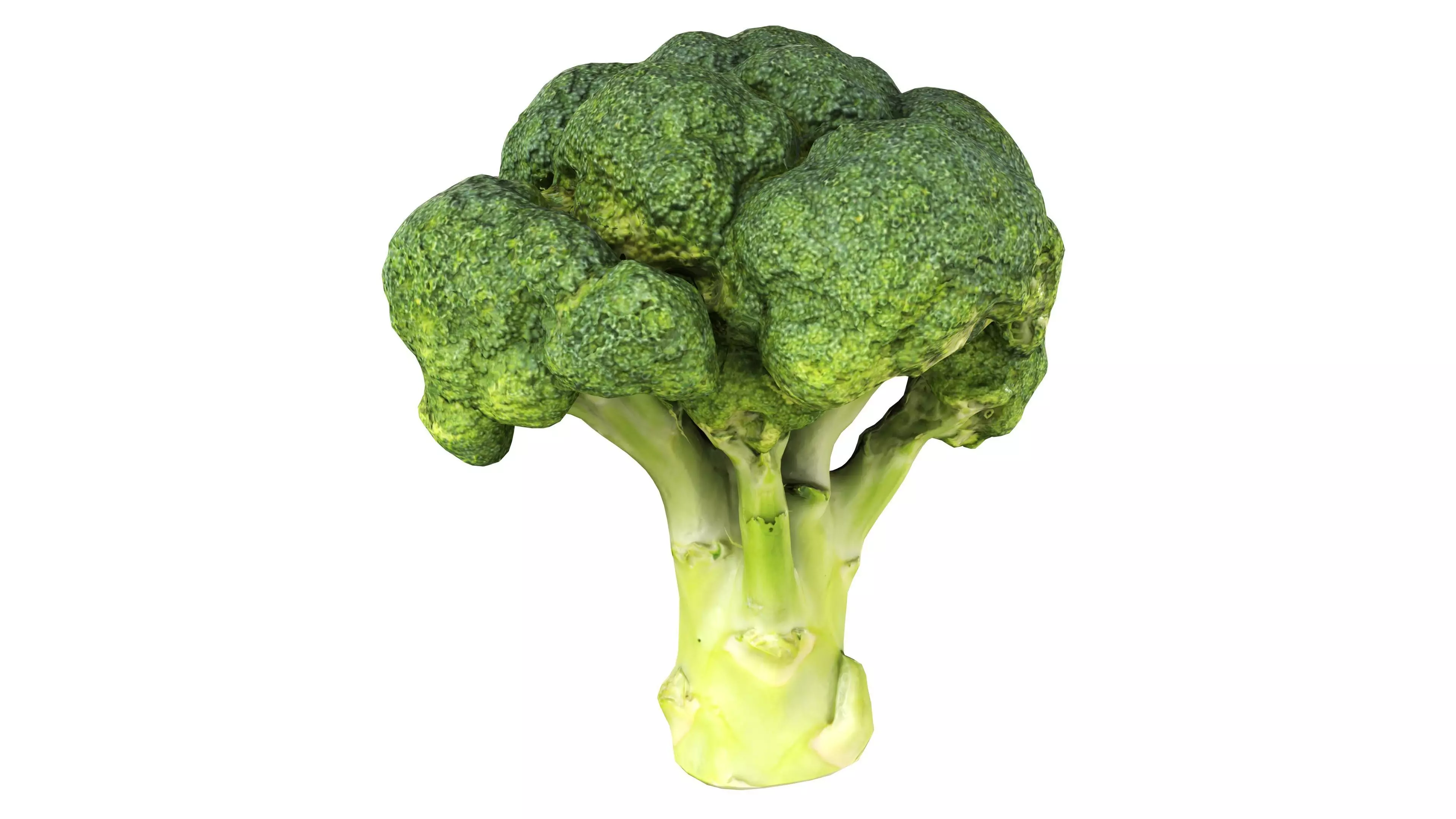 Broccoli Free low-poly 3D model