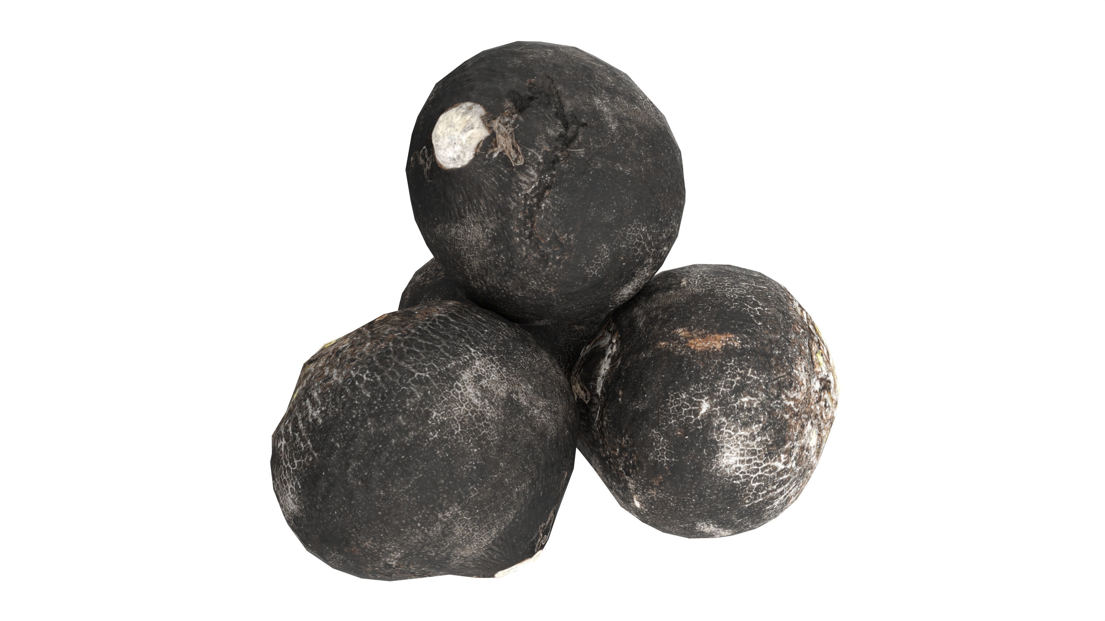 Black radish Low-poly 3D model_1