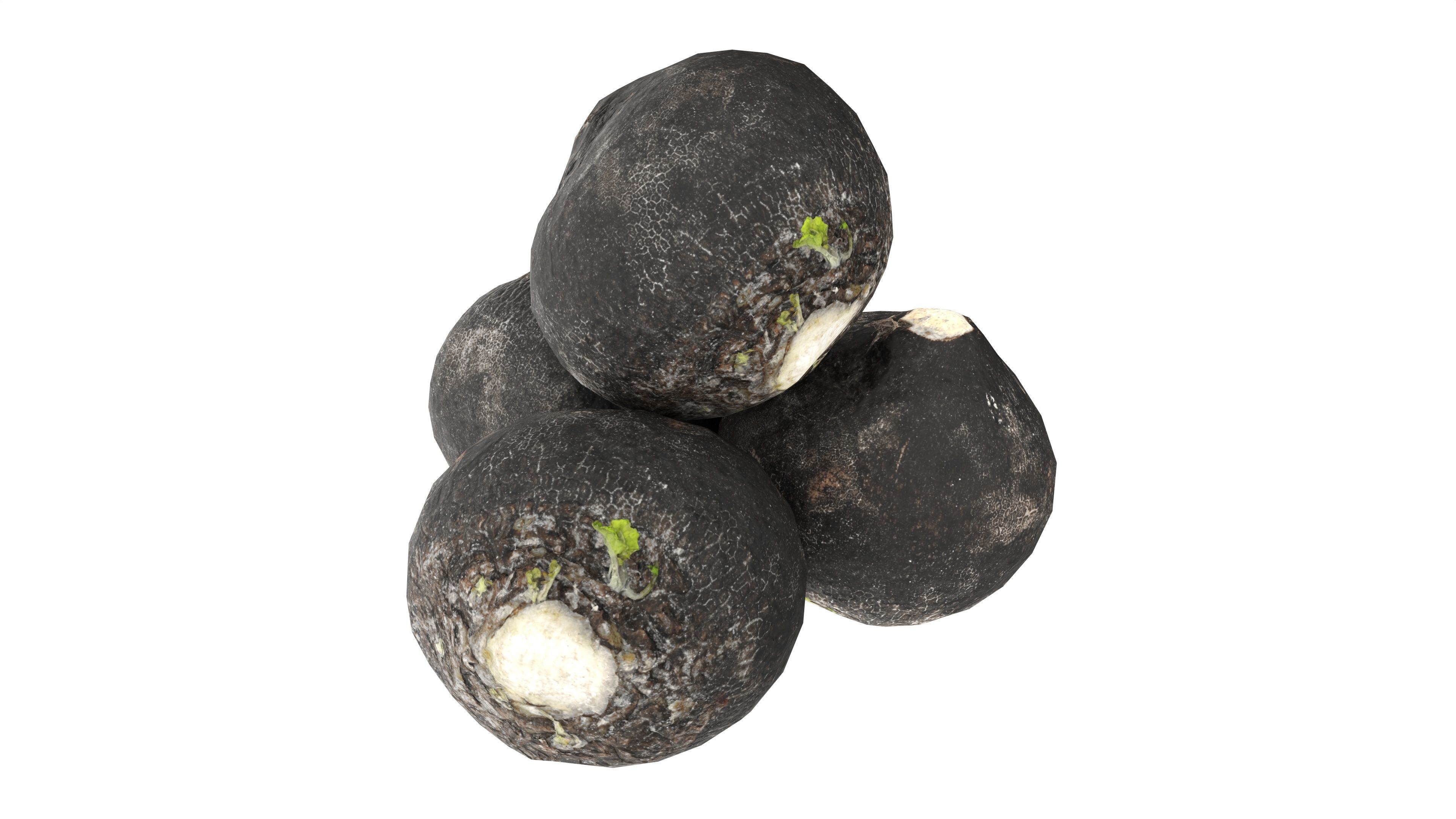 Black radish Low-poly 3D model_2
