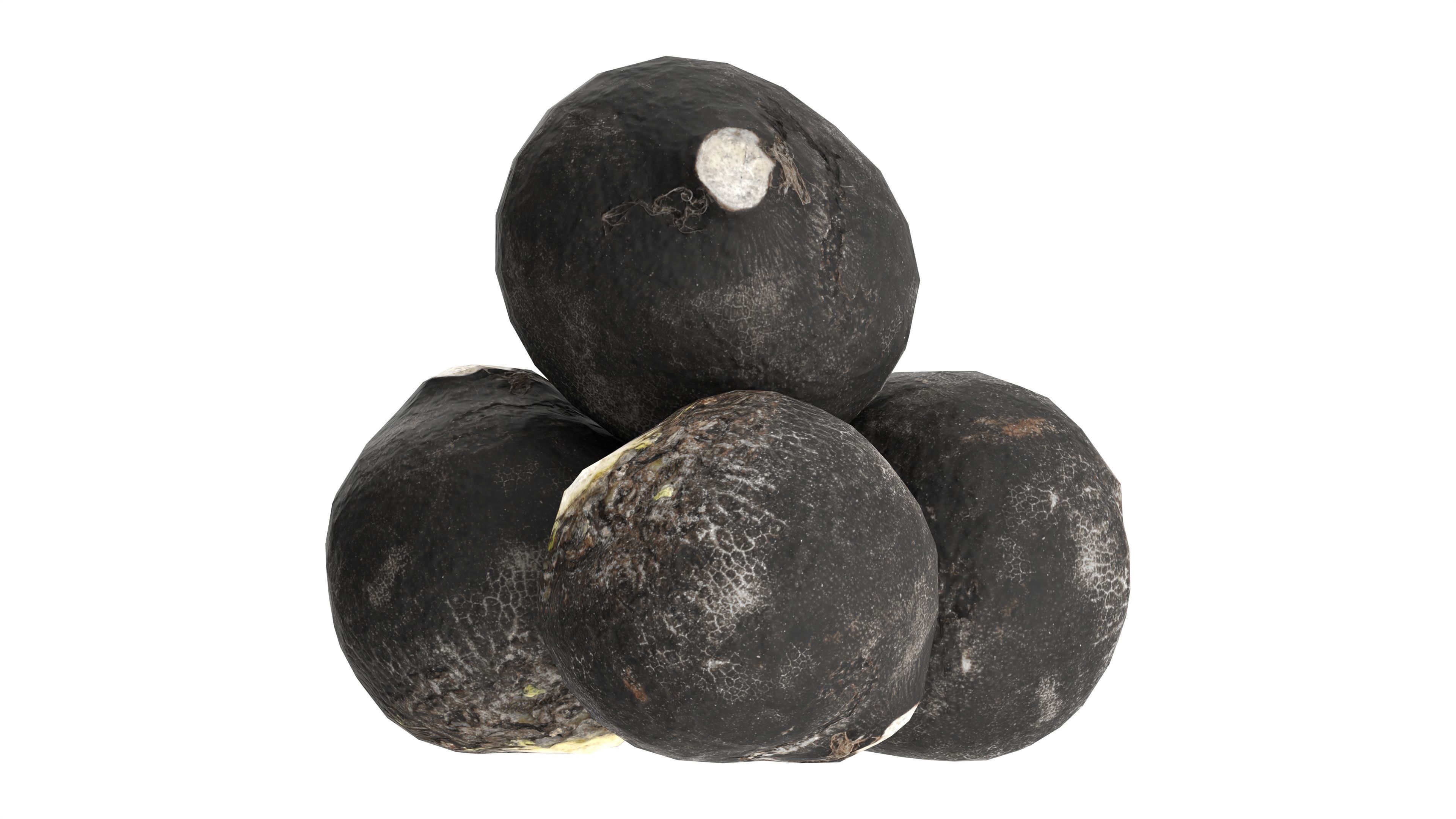 Black radish Low-poly 3D model_4