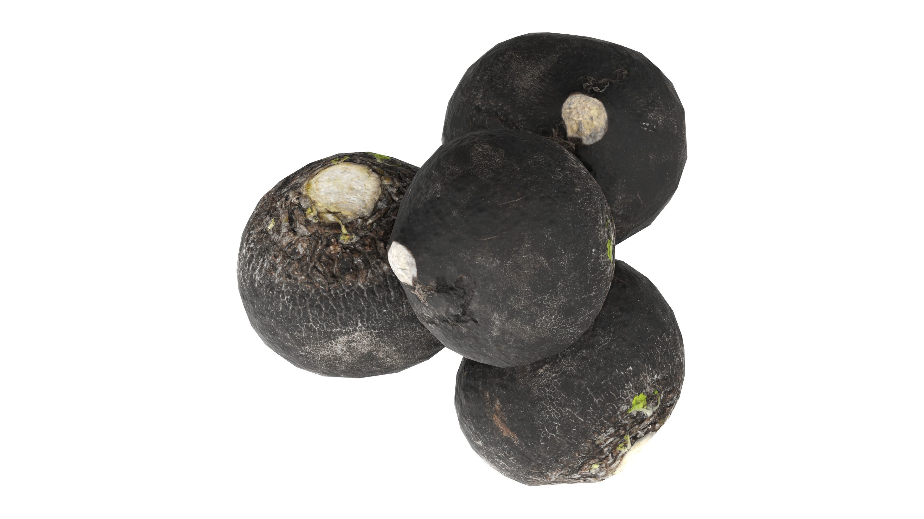Black radish Low-poly 3D model_5