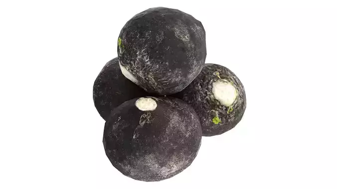 Black radish Low-poly 3D model