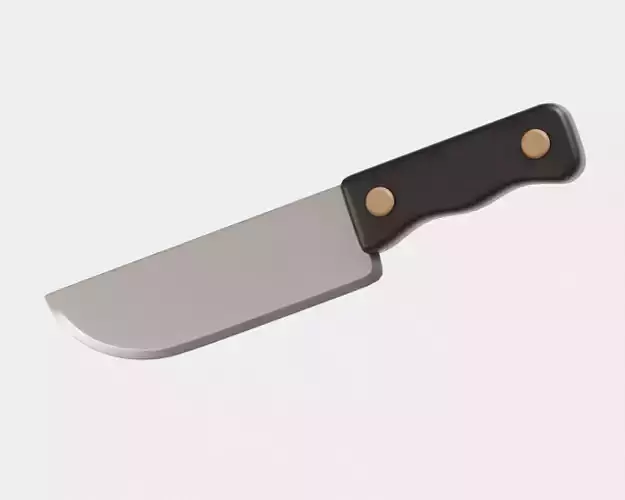 Kitchen Chefs Knife