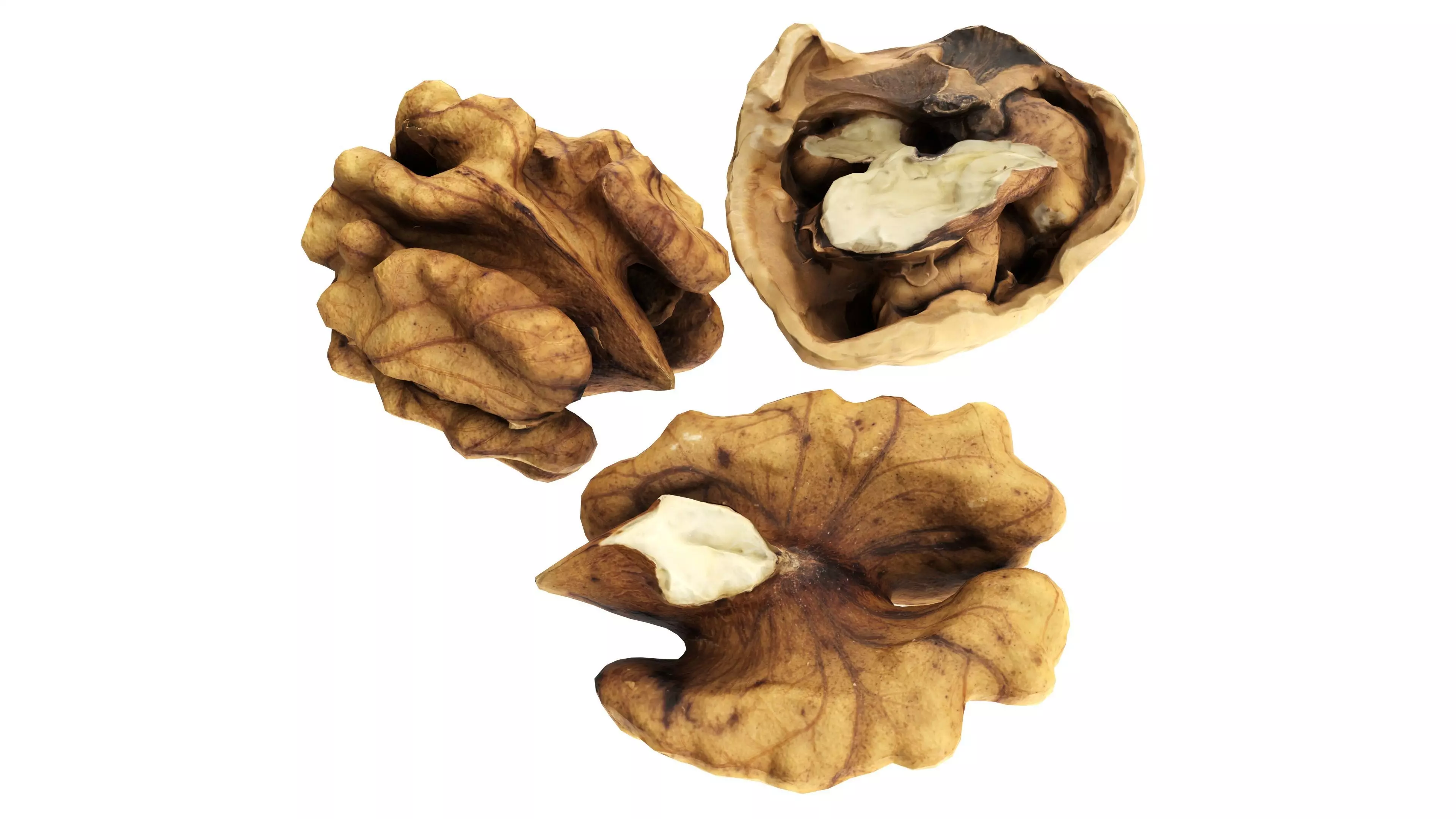 Walnut peeled Low-poly 3D model_0