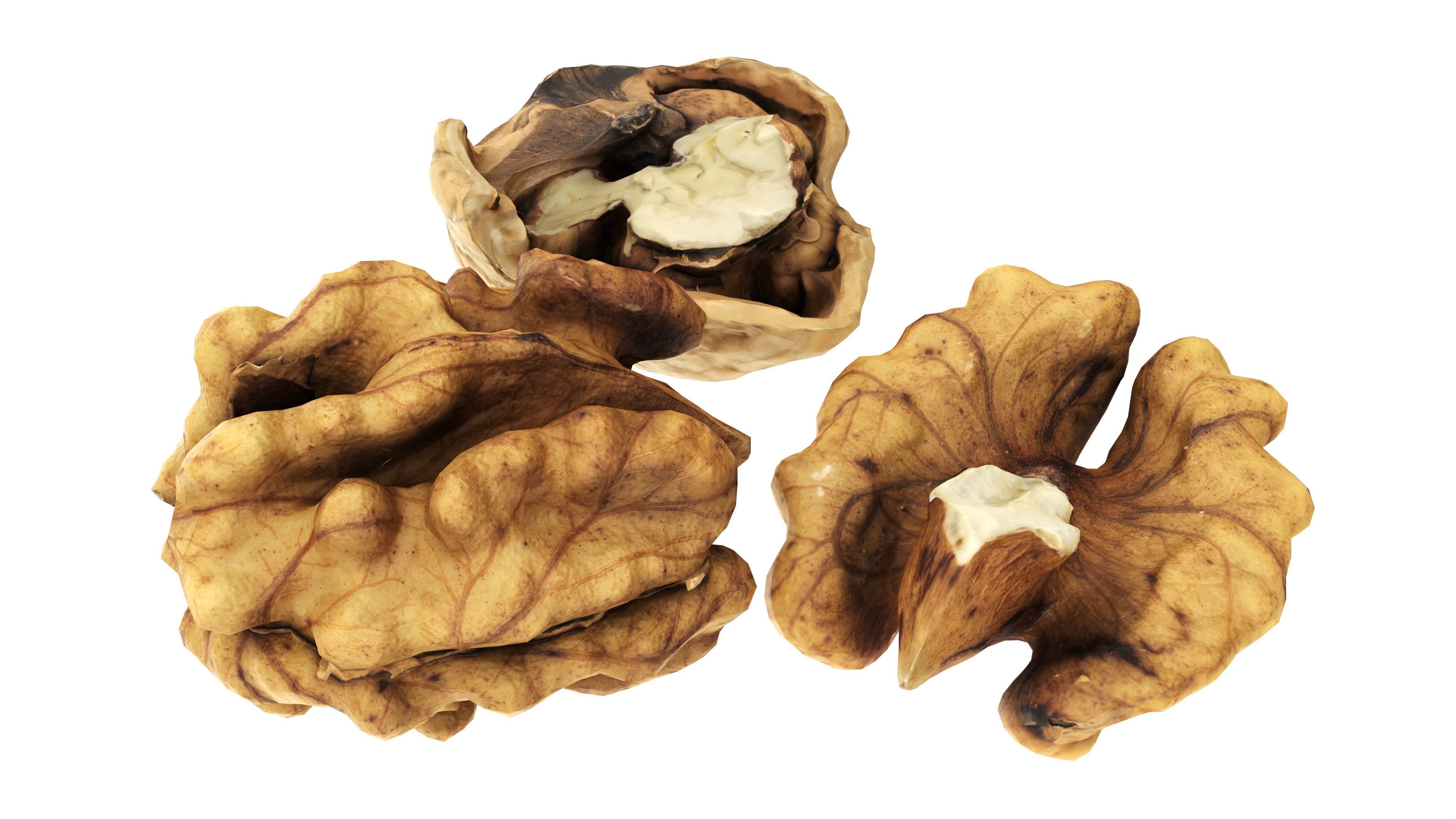 Walnut peeled Low-poly 3D model_1
