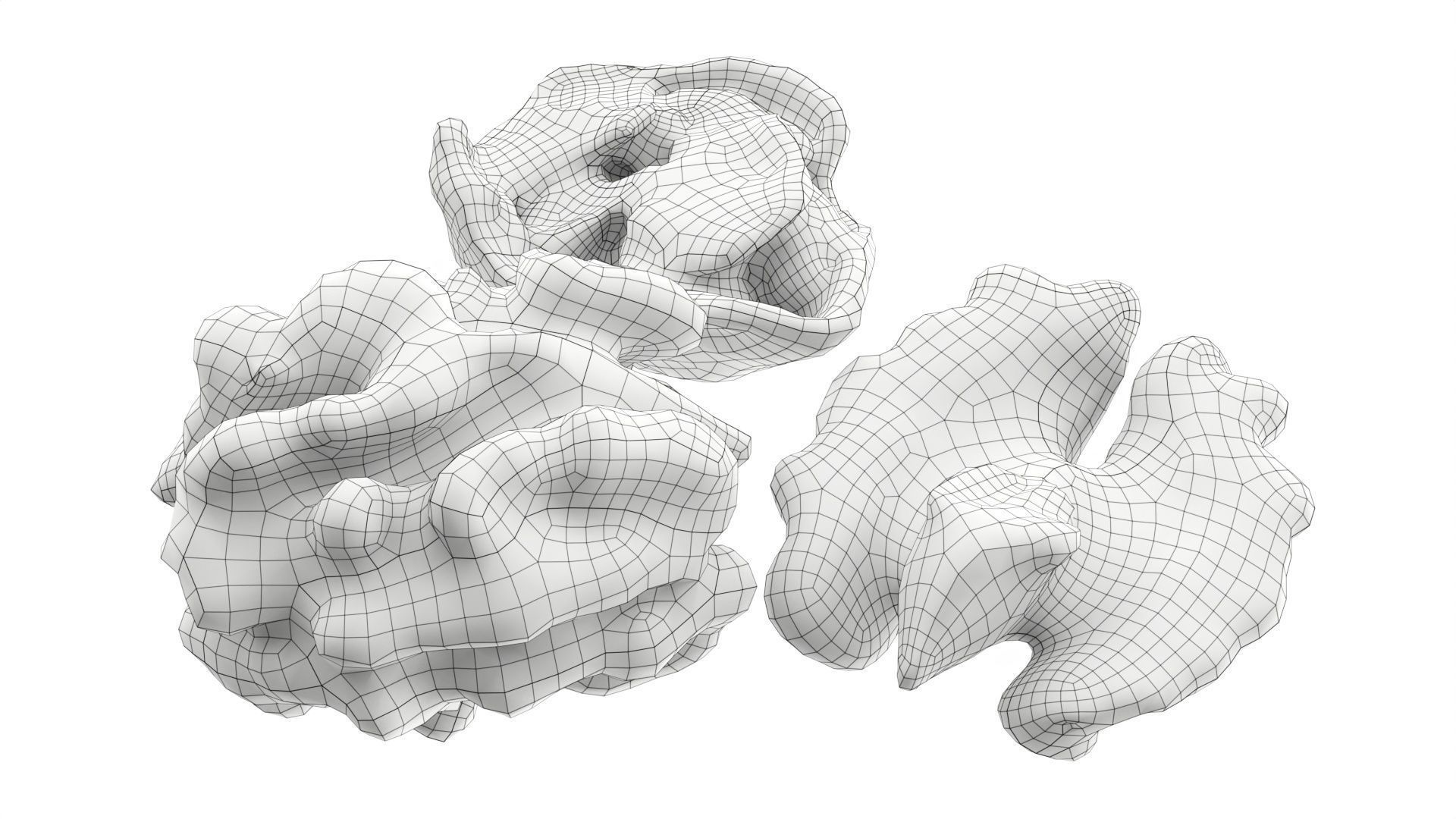 Walnut peeled Low-poly 3D model_6