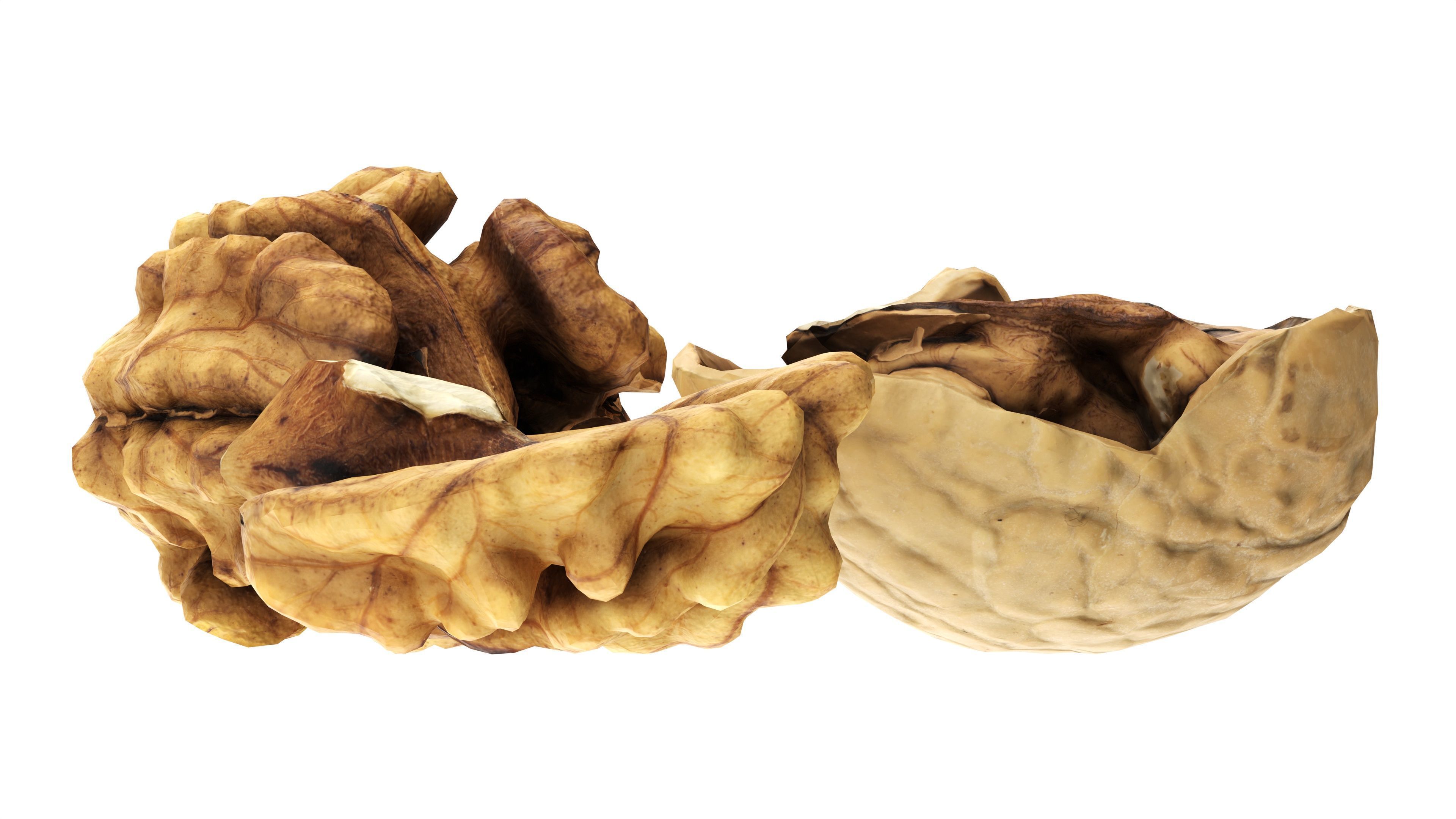 Walnut peeled Low-poly 3D model_4