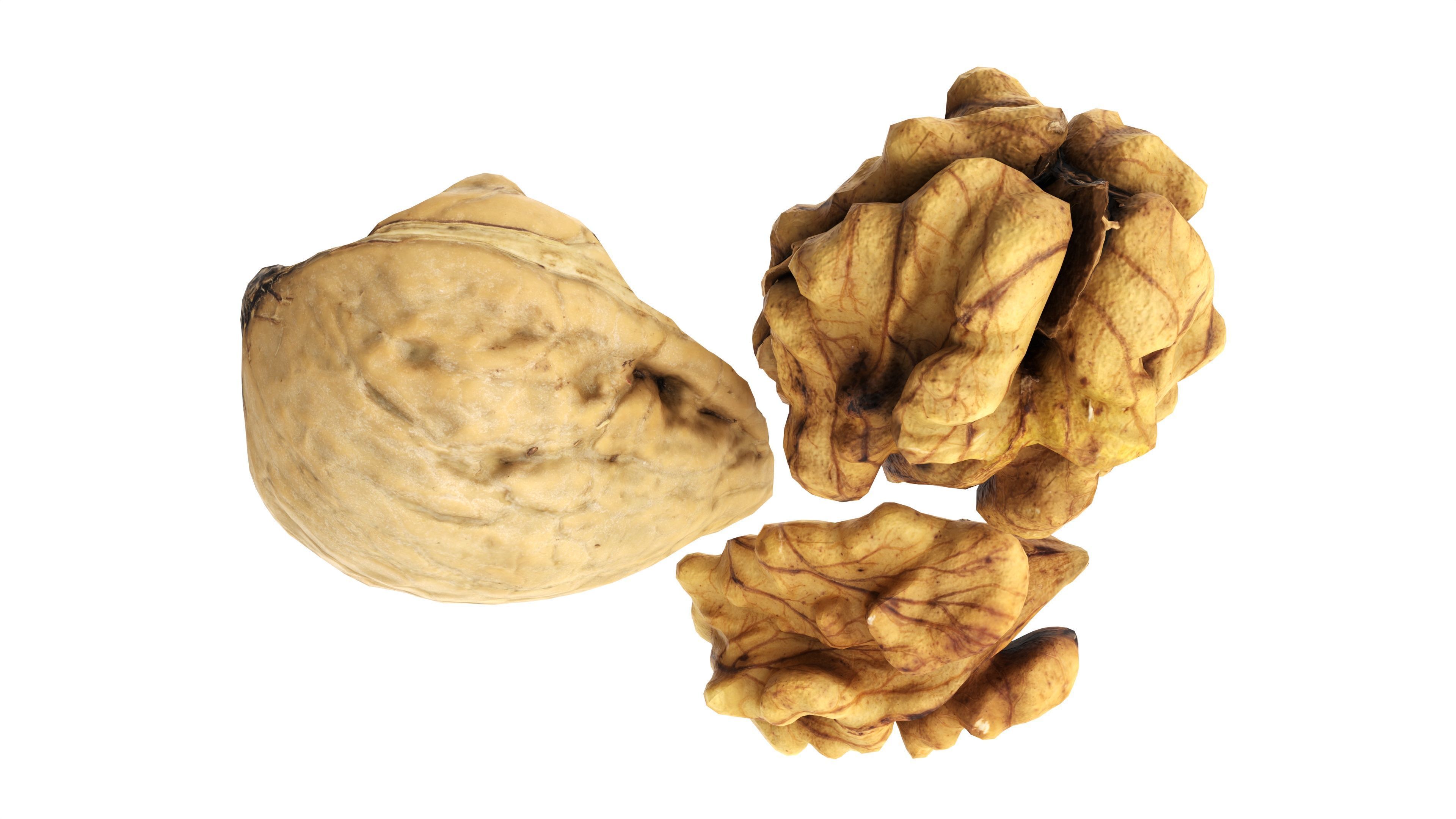 Walnut peeled Low-poly 3D model_3