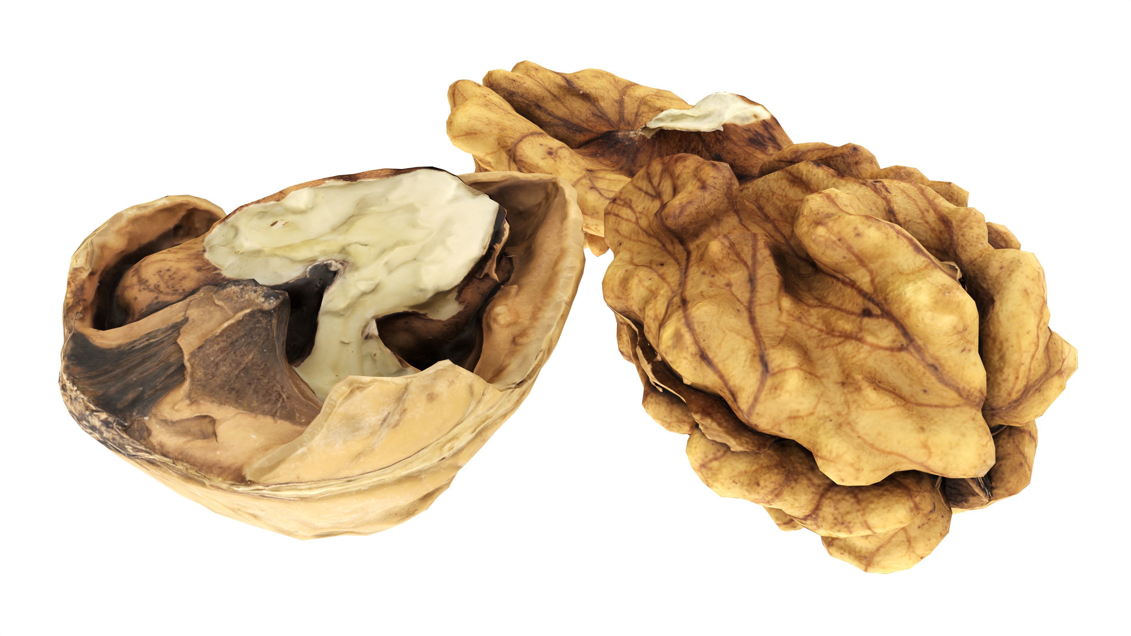 Walnut peeled Low-poly 3D model_2