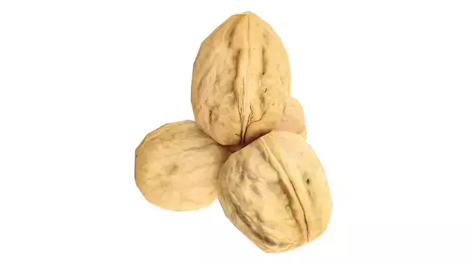 Walnut whole Low-poly 3D model