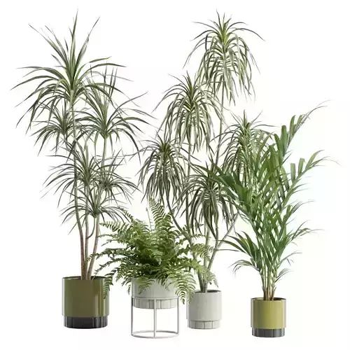 Indoor Plants Pack 80
