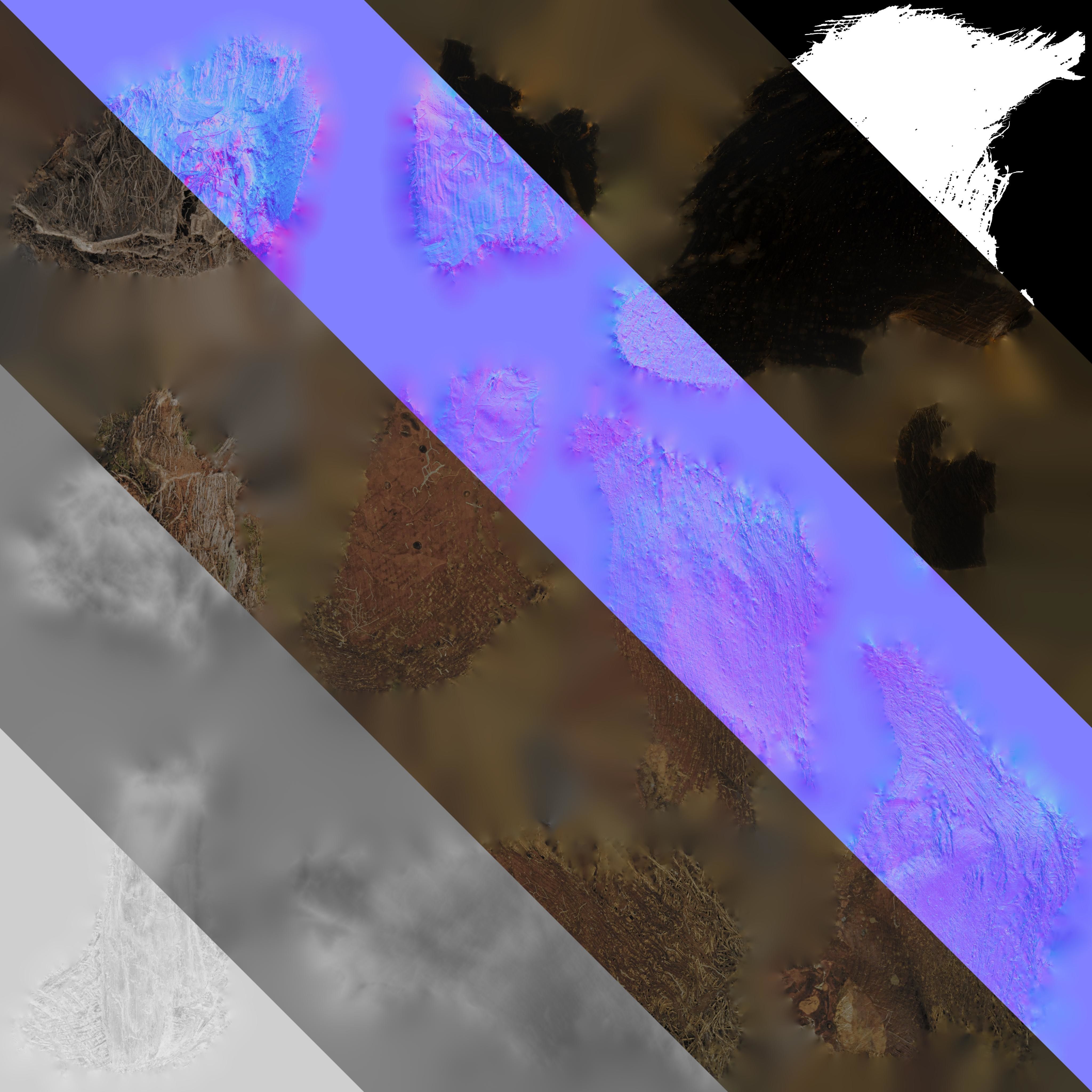 4K Trachycarpus Fortunei Atlas Texture Pack Texture_16