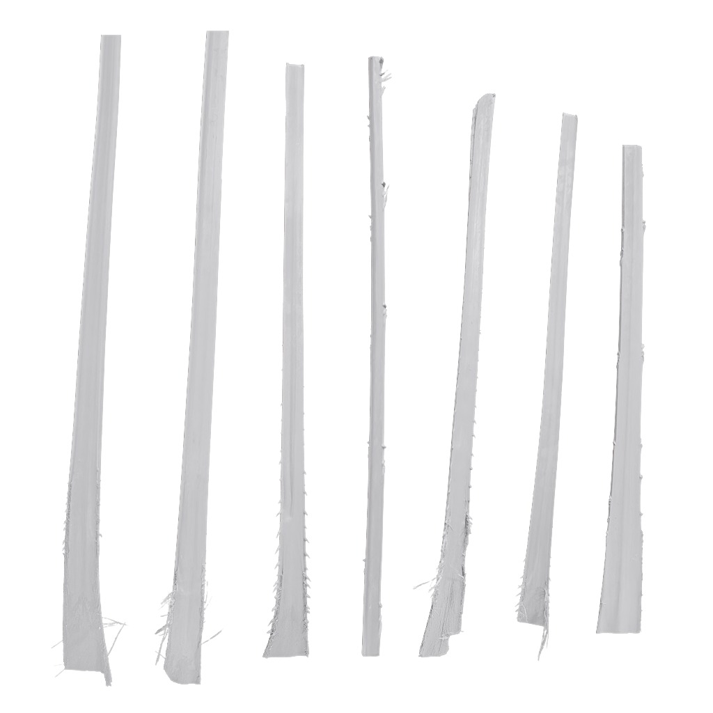 4K Trachycarpus Fortunei Atlas Texture Pack Texture_9