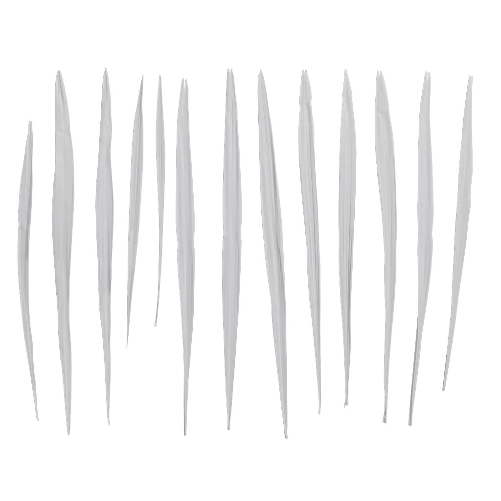 4K Trachycarpus Fortunei Atlas Texture Pack Texture_3