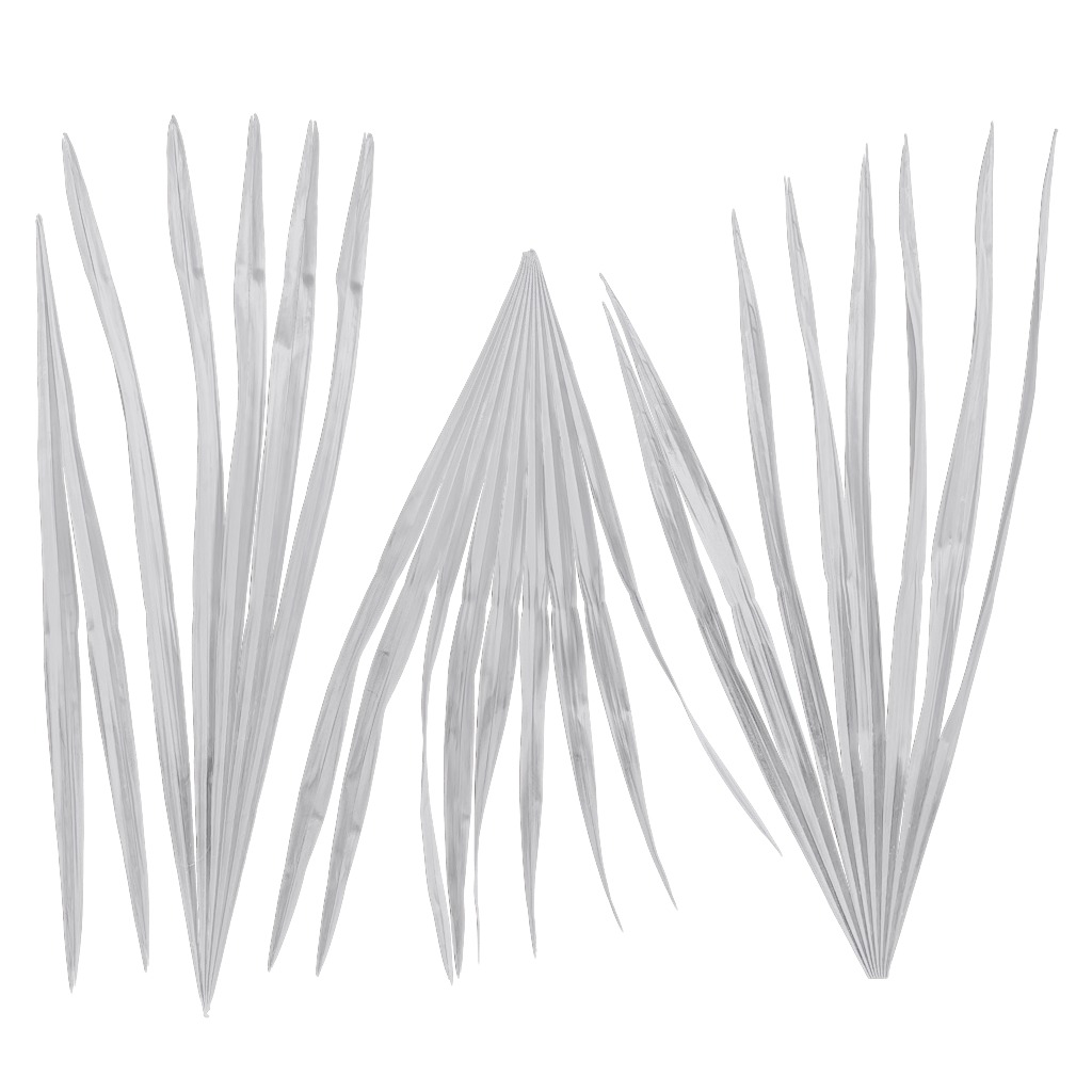 4K Trachycarpus Fortunei Atlas Texture Pack Texture_11