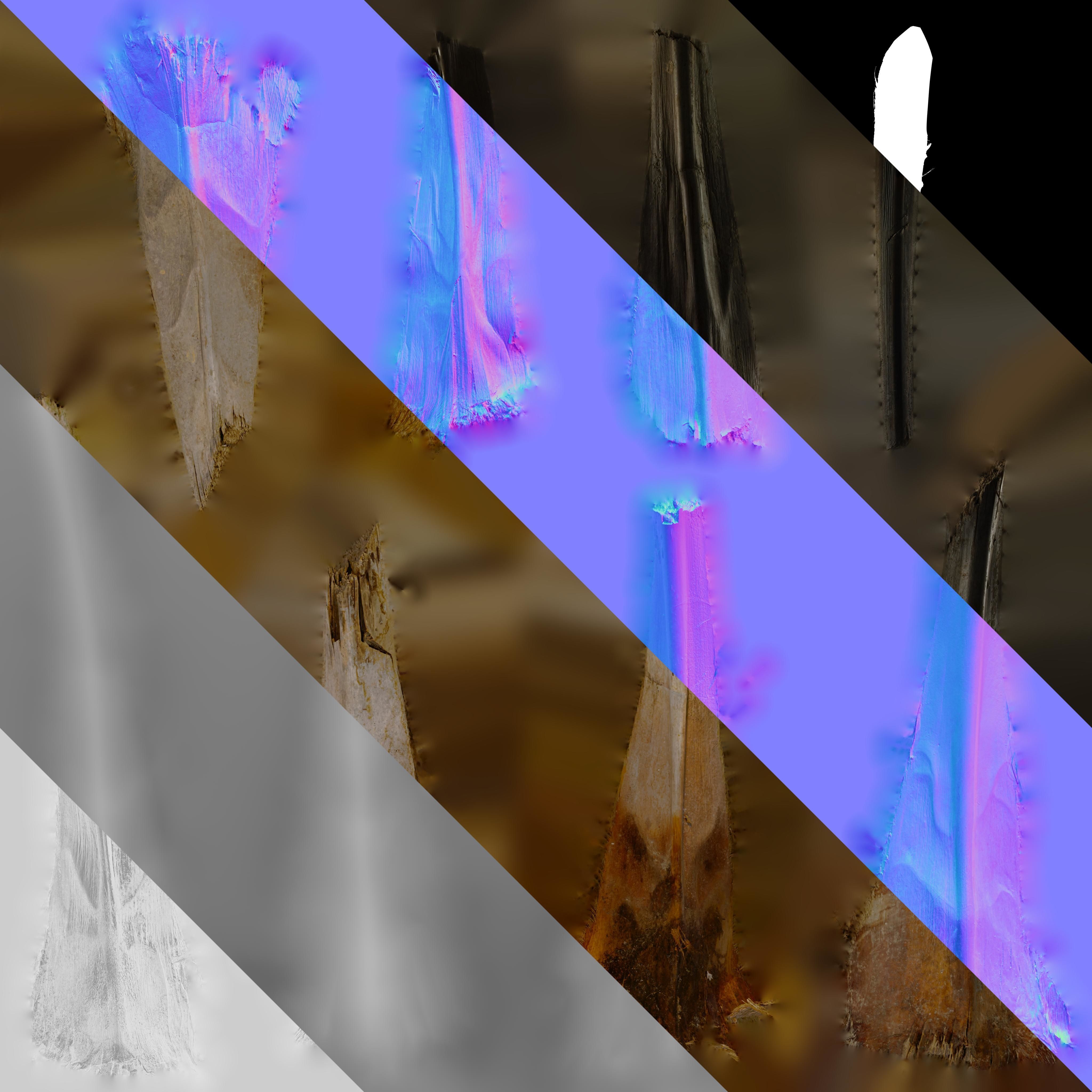 4K Trachycarpus Fortunei Atlas Texture Pack Texture_14