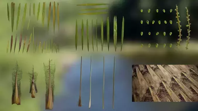 Rhapis Excelsa Textures Pack