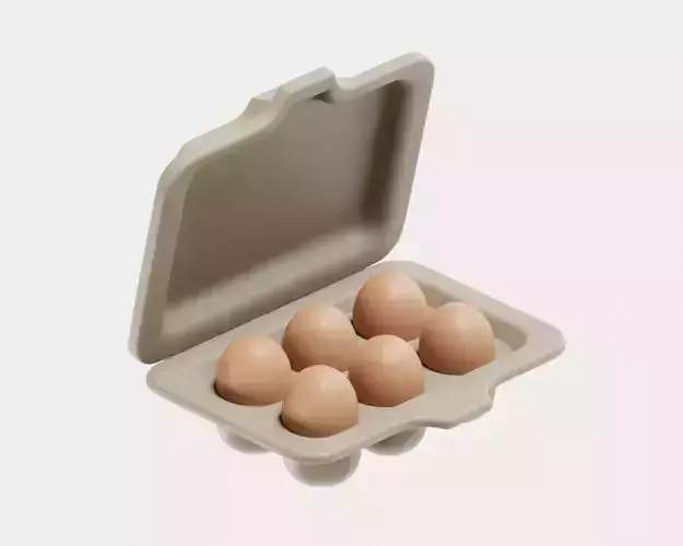 Egg cardboard package egg case