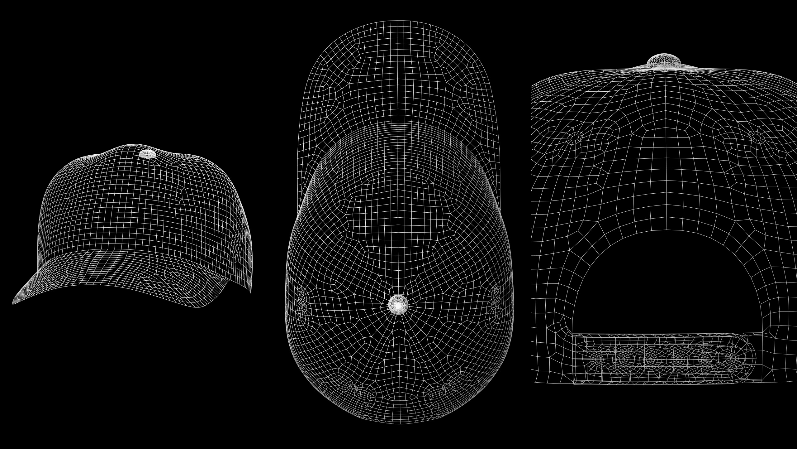 BASIC CAPS 6 and 5 panel genesis8 highpoly 3D model_14