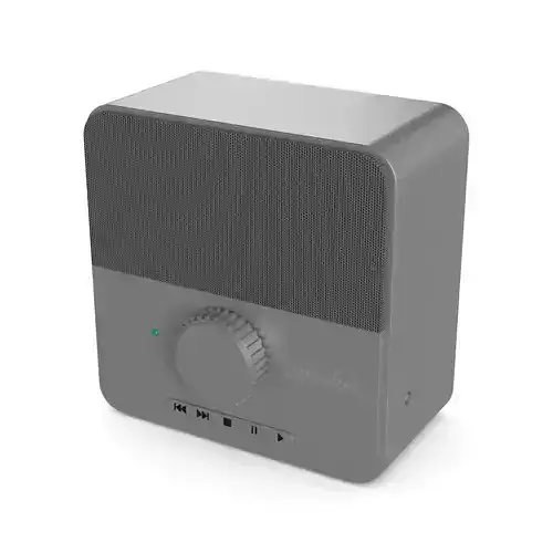 Conferencing Speakers